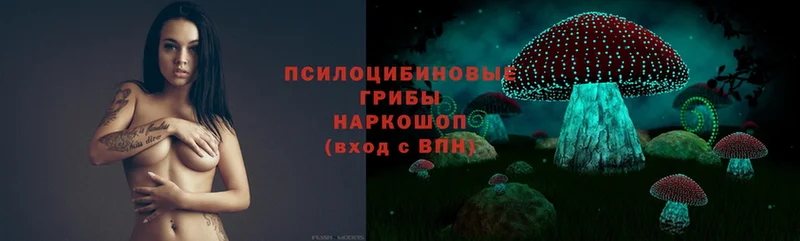 Галлюциногенные грибы MAGIC MUSHROOMS  kraken зеркало  Пыталово  где можно купить  